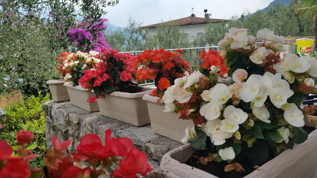Hotel Augusta Garni Limone sul Garda Extérieur photo