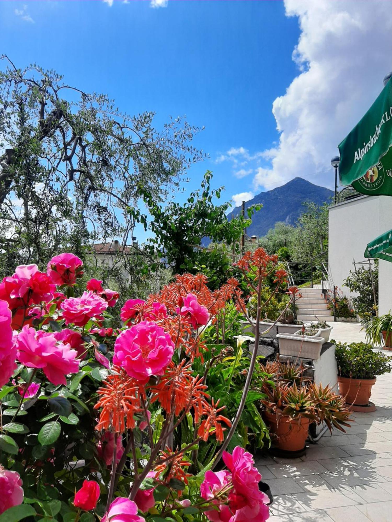 Hotel Augusta Garni Limone sul Garda Extérieur photo